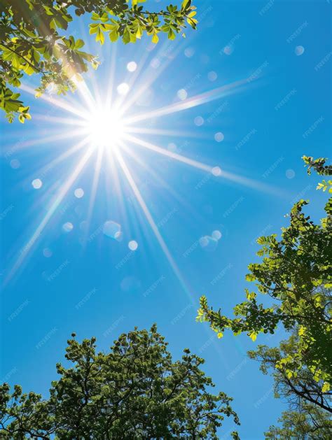 Locals are loving this san diego's weather heat wave event 22