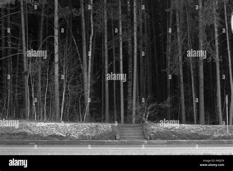 Stairway To Nature Hi Res Stock Photography And Images Alamy