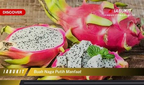 Intip Manfaat Buah Naga Putih Yang Wajib Kamu Intip Discover