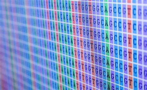 Nebula Genomics DNA Sequencing Reviews - DNA Testing Choice