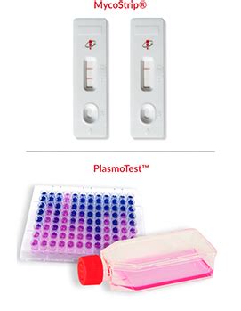 Mycoplasma Detection Kits Mycostrip Plasmotest Invivogen