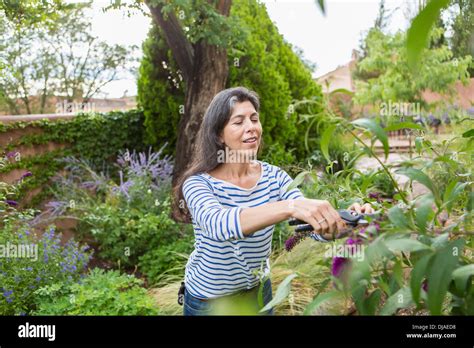 Mature Woman By Flower Garden Hi Res Stock Photography And Images Alamy