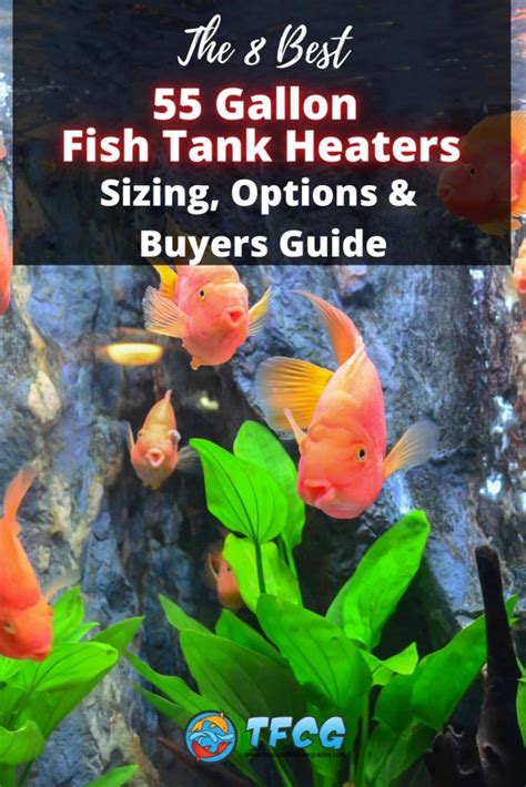 The 8 Best 55 Gallon Fish Tank Heaters Reviewed & Buyers Guide | TFCG