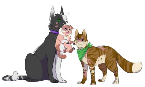 Dsmp Warrior Cats Au On Tumblr