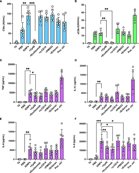 Frontiers In Vitro Evaluation Of Iron Oxide Nanoparticle Induced