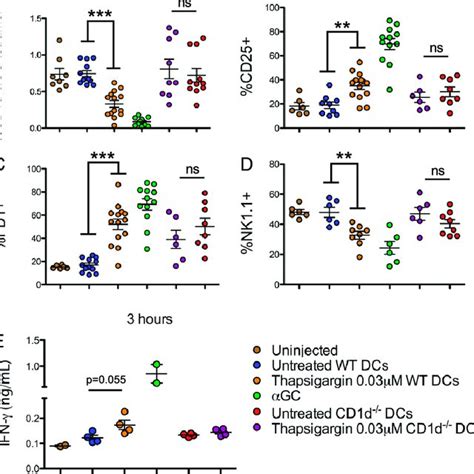 Er Stressed Dcs Activate Inkt Cells In Vivo Inkt Cell Frequency A