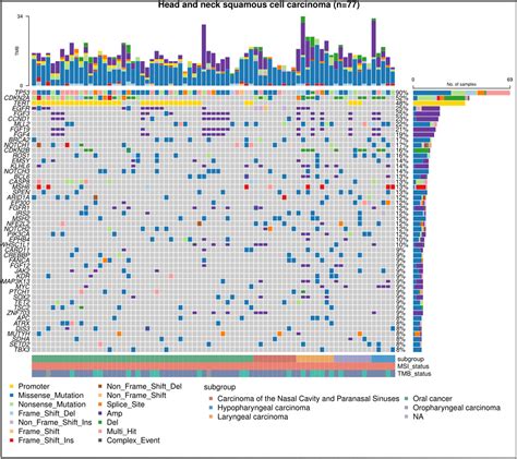 Frontiers Next Generation Sequencing Identifies Cdkn A Alterations As