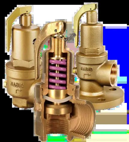 Safety Valve Selector - NABIC Valves