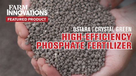 High Phosphorus Fertilizer