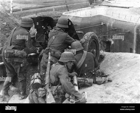 German Pak at the battle for Brest-Litovsk, 1941 Stock Photo - Alamy