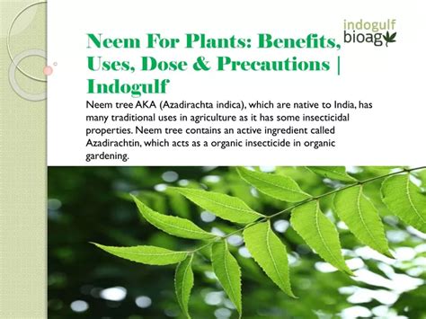 Ppt Neem For Plants Benefits Uses Dose And Precautions Indogulf