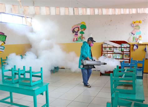 Áncash Suman 10 Los Fallecidos Por Dengue Y Casos Superan Los 4 000 En