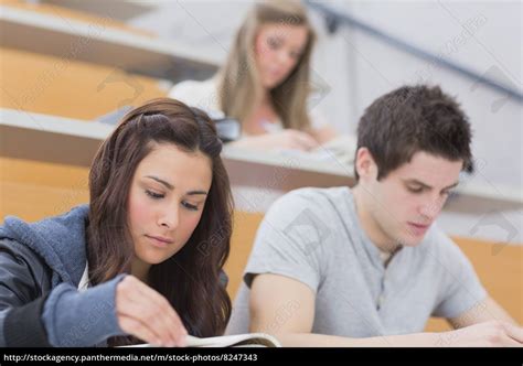 schüler sitzen im hörsaal beim lernen Lizenzfreies Bild 8247343