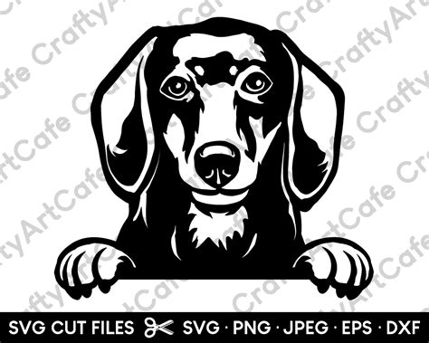 Dachshund Peeking Svg Dachshund Silhouette Svg Dachshund Png Etsy