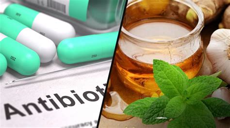 8 Natural Alternatives For Commonly Used Antibiotics