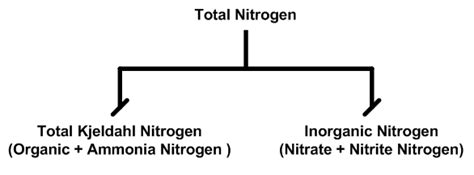 ammonia nitrogen lab report - Julia Smith