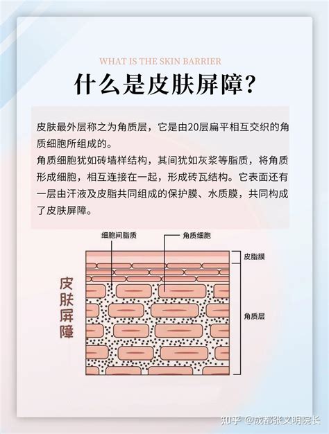 敏感肌、皮肤不耐受、屏障受损，你的皮肤还好吗？ 知乎