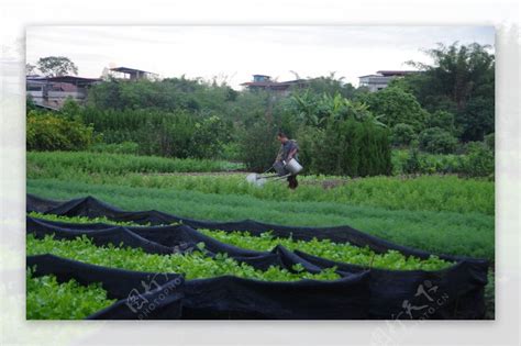 种植基地图片素材 编号22703061 图行天下