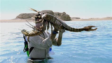 bbc  walking  dinosaurs  sea monsters  walking