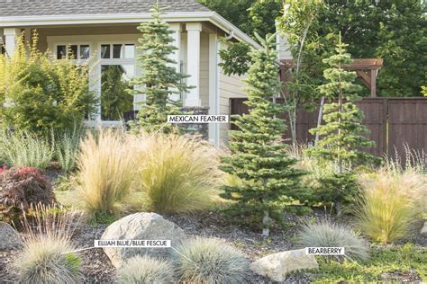 Ornamental Grasses Of Puget Sound Nursery Blog — Ornamental Grasses Ornamental Grass Landscape