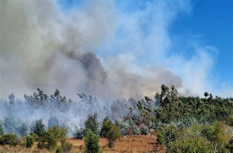 Declaran Alerta Amarilla Por Incendio Forestal De Rápido Avance En Nogales