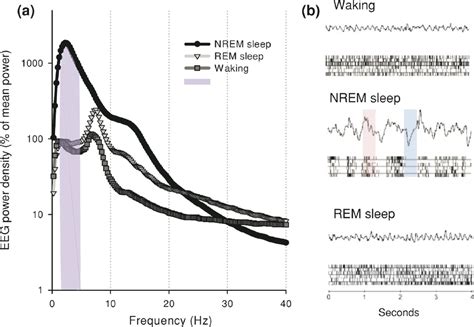 Sleep Architecture A Twenty Four Hour Eeg Power Spectra In Nrem Sleep