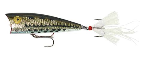 Best Popper Lures For Bass 2024