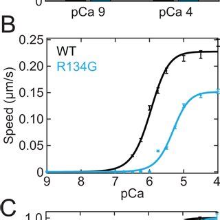 A Percent Stuck Filaments In An In Vitro Motility Assay At Pca