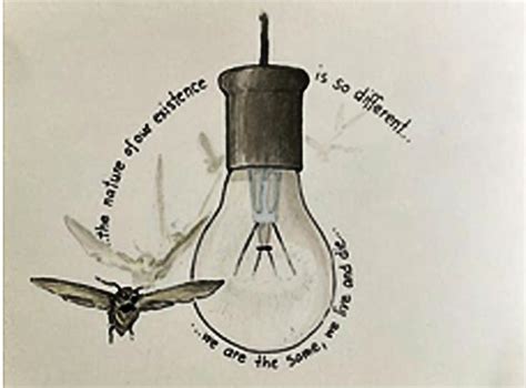 The Moth and the Light Bulb – Thanlwintimes