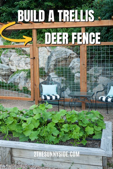 How to Make a Modern Deer Fence for Your Garden | Sunny Side Design