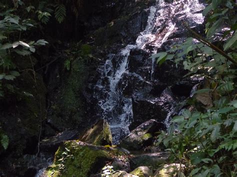 Trilha da Cachoeira Parque Estadual da Cantareira Núcleo Cabuçu