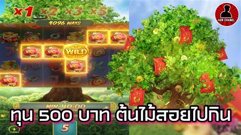 Prosperity Fortune Tree 🔥สล็อตแตกง่าย เกมต้นไม้ Pg 🔥 ทุน 500 บาท