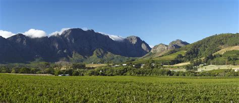 The French Huguenots - Franschhoek, South Africa