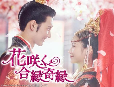 中国ドラマ 花咲く合縁奇縁 第4話「憧れの存在との出会い」（字幕） Gガイドテレビ王国