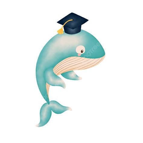 Watercolor Blue Whale And Graduation Cap Watercolor Blue Whale