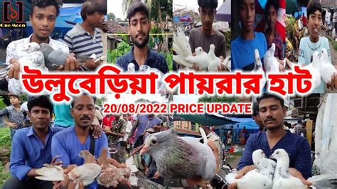 Recent Exotic Pigeon Price Update At Uluberia Uluberia Pigeon Market