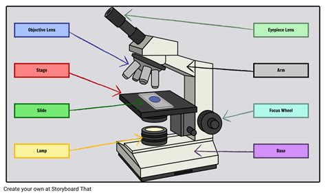 Labeled Microscope Storyboard by oliversmith