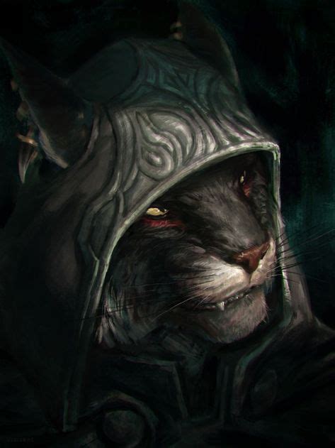 11 Tabaxi Rogue ideas | dnd characters, rpg character, fantasy characters