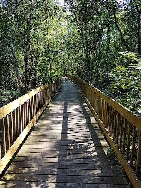 Premium Photo Diminishing Perspective Of Boardwalk Amidst Trees In Forest