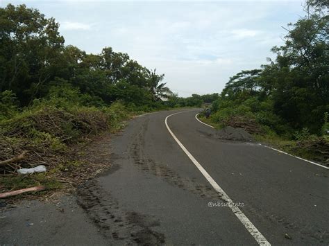 Potret Keindahan Pantai Pandansimo Yang Bikin Meleleh Wisata Yogyakarta