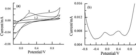 A Cv Responses Of The Bare Gce And Pdma Gce In A 01 M Kcl Solution Download Scientific