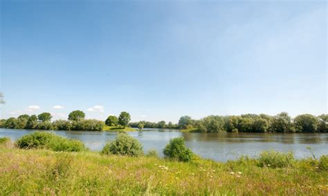 Vissen In De Maas VisitBrabant