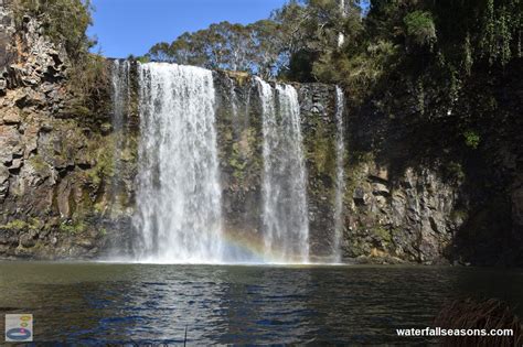 Waterfall Seasons - Guide to Dangar Falls, Dorrigo