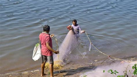 Traditional Fishing Begins On The Mangaluru Coast The Hindu