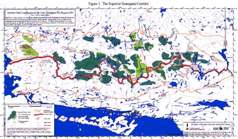 Old Growth Forest Maps | Ancient Forest Explo