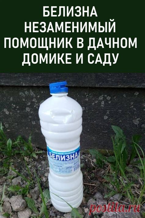 Белизна — незаменимый помощник в дачном домике и саду. Отправляясь на ...