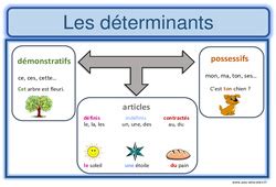 Affiche Affichage de classe Article et déterminant CM2 pdf à