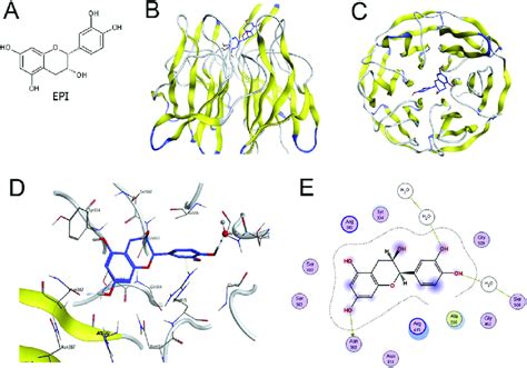 Results Of Molecular Docking Analysis A The Chemical Structure Of