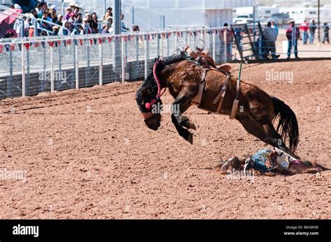 A Cowboy Competes In The Saddle Bronc Riding Event During The Oodham