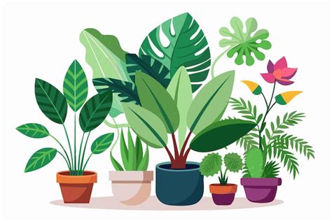 A Collection Of Potted Plants With Diverse Foliage Premium AI